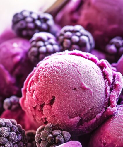 Low Carb Keto Blackberry Frozen Yogurt Recipe